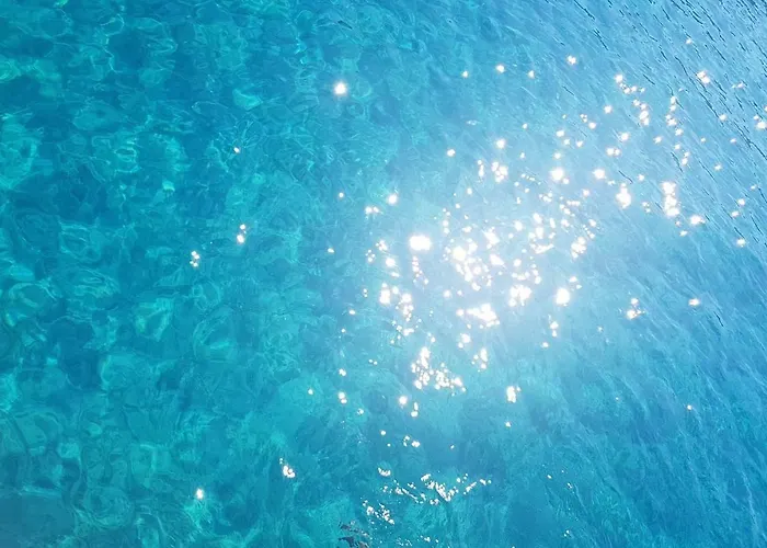 Sea La Vie - Maria * 利迈纳里亚