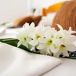 Sea La Vie - Maria *