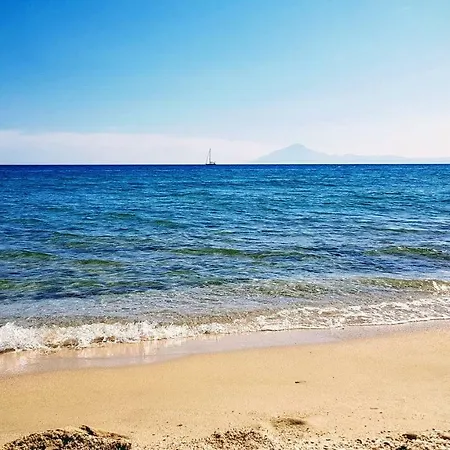 Sea La Vie - Maria *